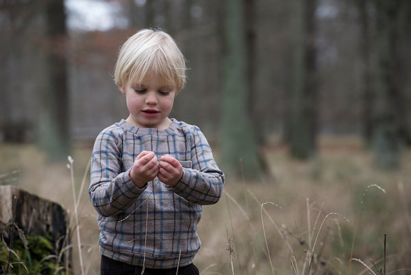 SERENDIPITY ORGANICS Sweartshirt Ironchecks Brown Color