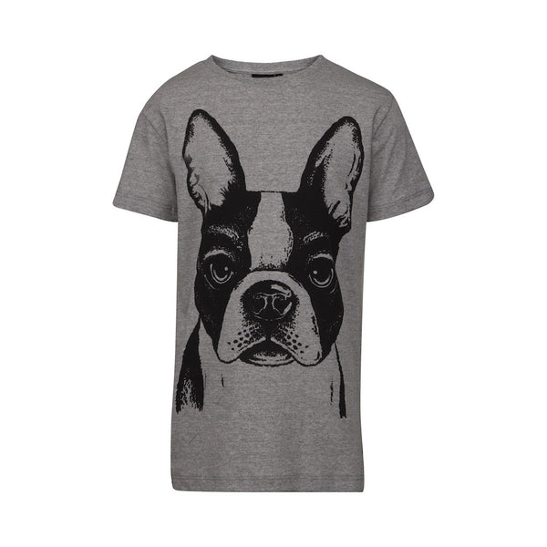 PETIT BY SOFIE SCHNOOR T-Shirt Front Print - Grey Melange Color (French Bull Dog)