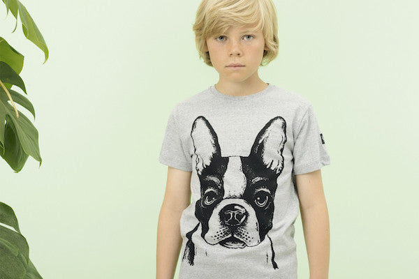 PETIT BY SOFIE SCHNOOR T-Shirt Front Print - Grey Melange Color (French Bull Dog)